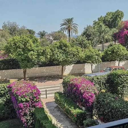 Palm House Lejlighed