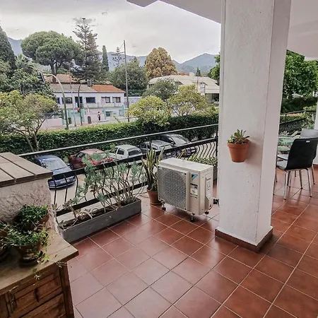 Palm House Apartment