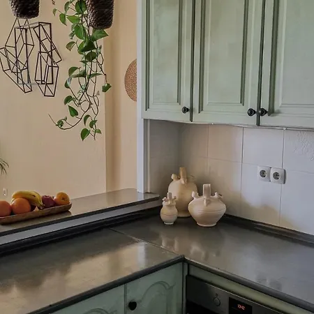 Palm House Apartment *