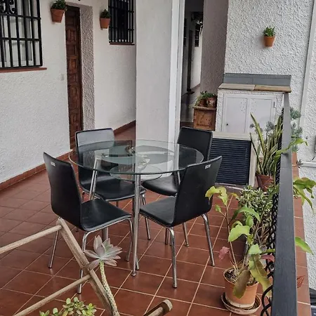 Apartment Palm House