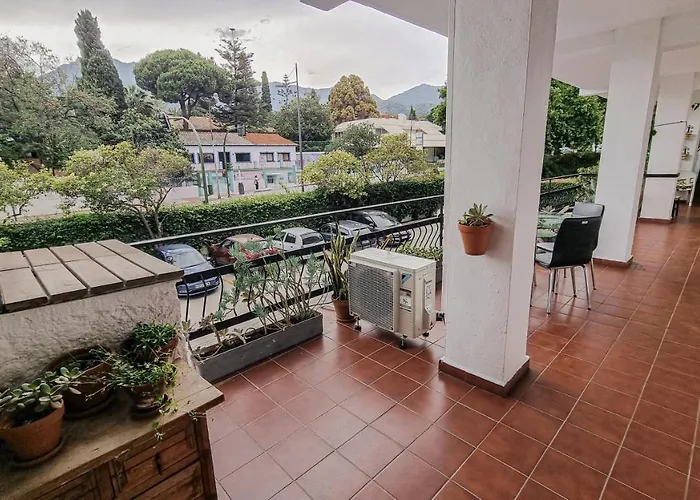 Palm House Apartment