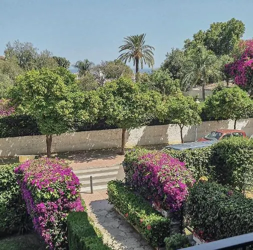 Palm House Appartement